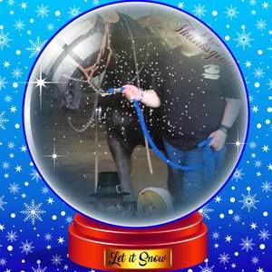 Meet your Posher, Kristin